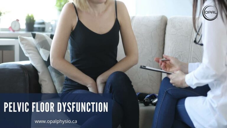 Guide To Pelvic Floor Dysfunction