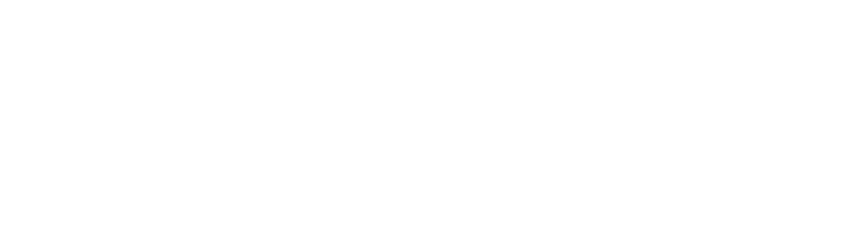 Opal Physio Logo
