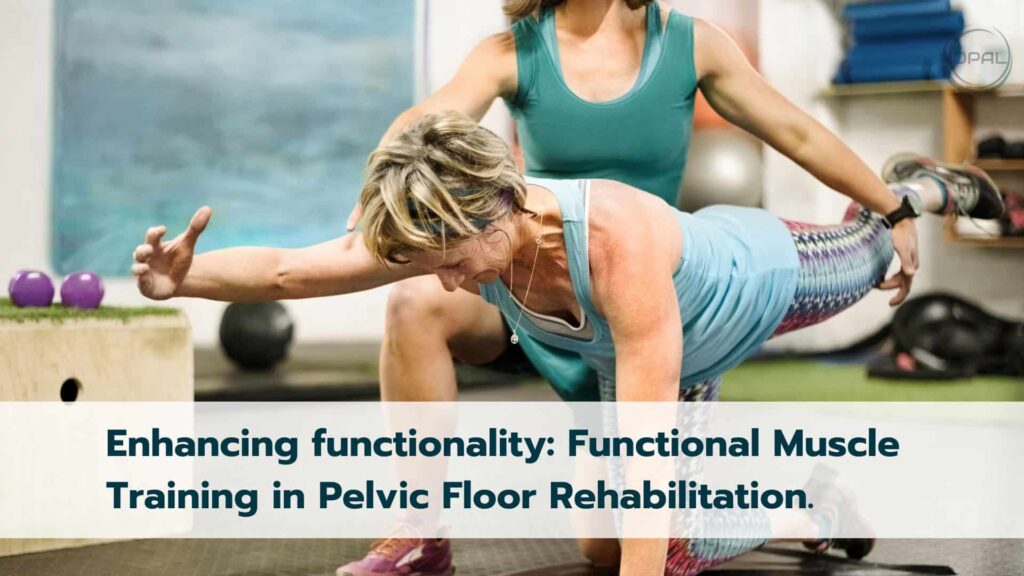 Functional Muscle Training in Pelvic Floor Rehabilitation