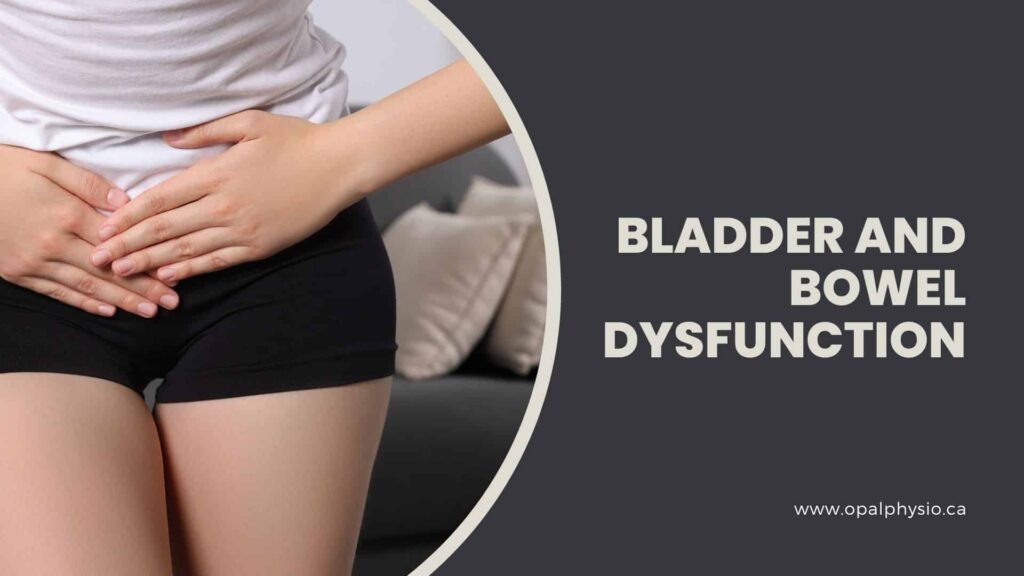 Bladder and Bowel Dysfunction Physiotherapy Treatment